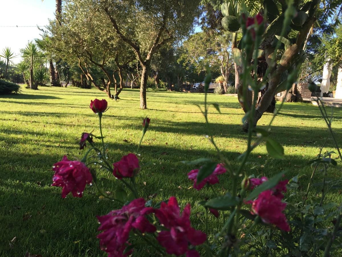 Dimora Del Duca, Masseria B&B Di Charme Monteroni di Lecce Buitenkant foto